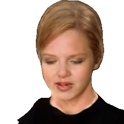 Interpolate start reference image.