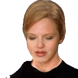 Interpolate start reference image.