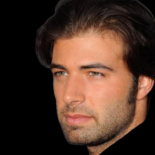 Interpolate start reference image.