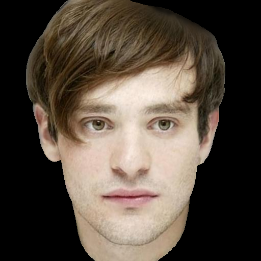 Interpolate start reference image.