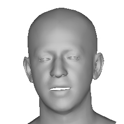 Interpolate start reference image.