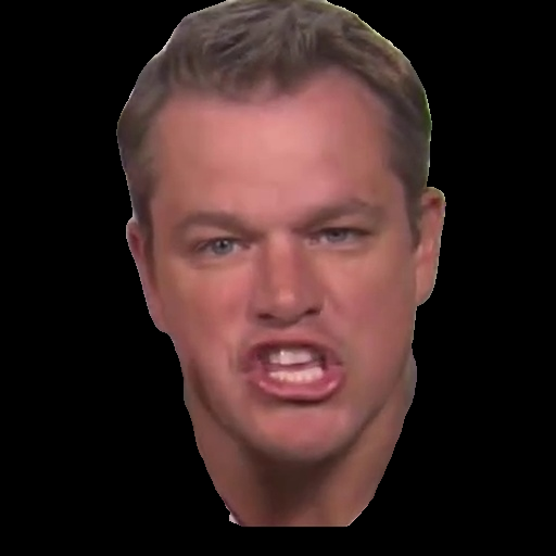 Interpolate start reference image.