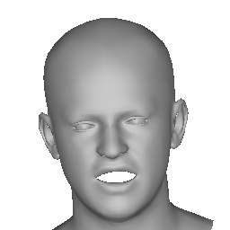 Interpolate start reference image.