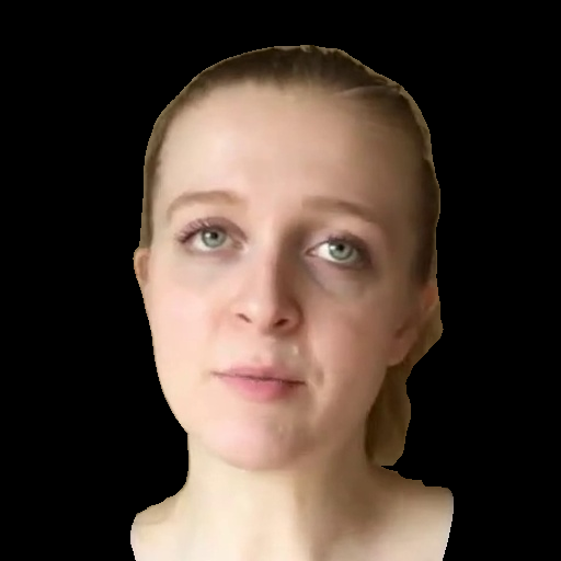 Interpolate start reference image.