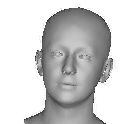 Interpolate start reference image.