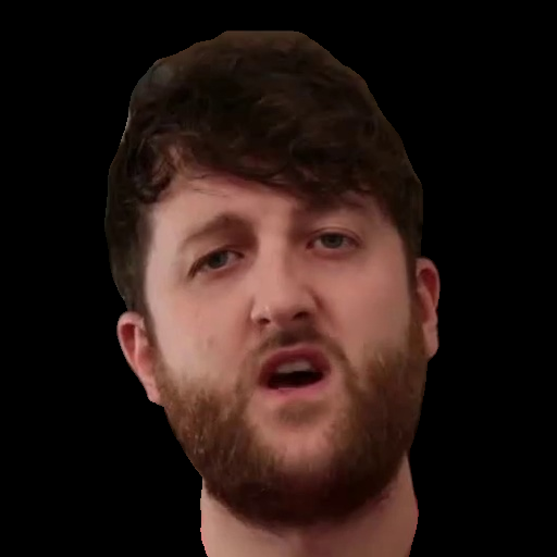 Interpolate start reference image.